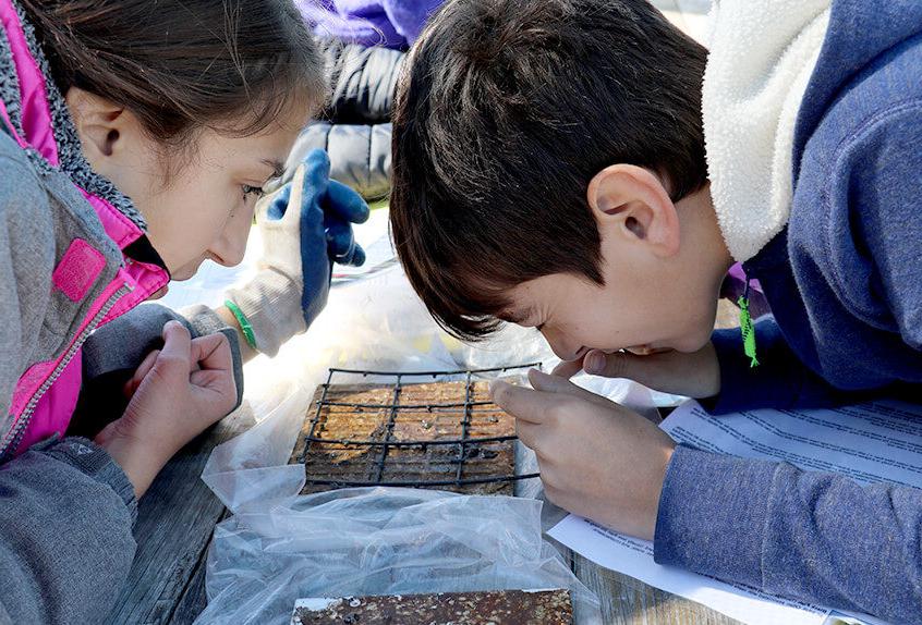 billion oyster project 2 students examining oysters