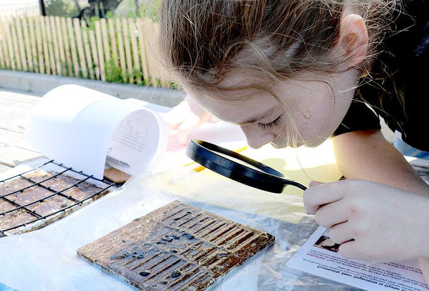 billion oyster project students examining oysters and collecting data