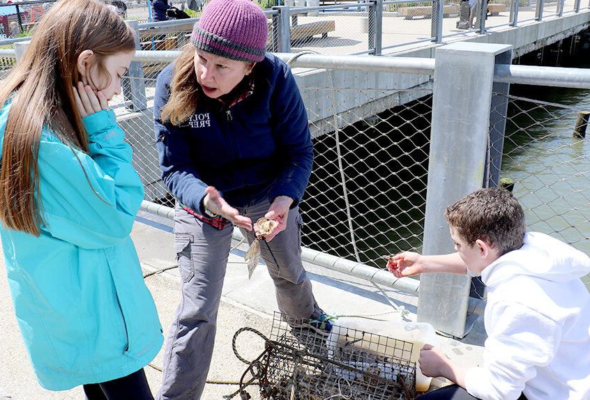 billion oyster project teacher and students examining oysters