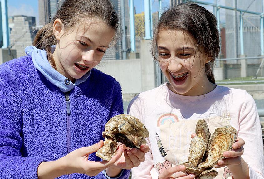 billion oyster project 2 girls looking at oysters