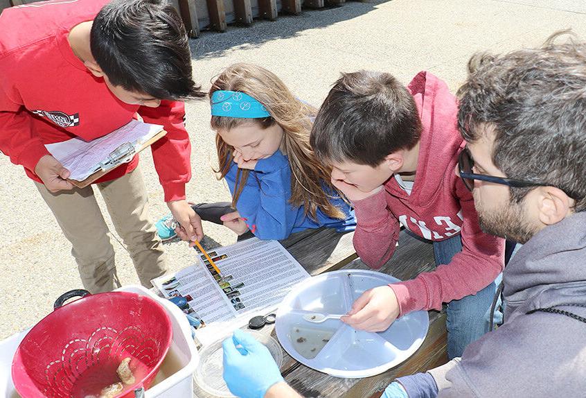 billion oyster project students and teacher recording data