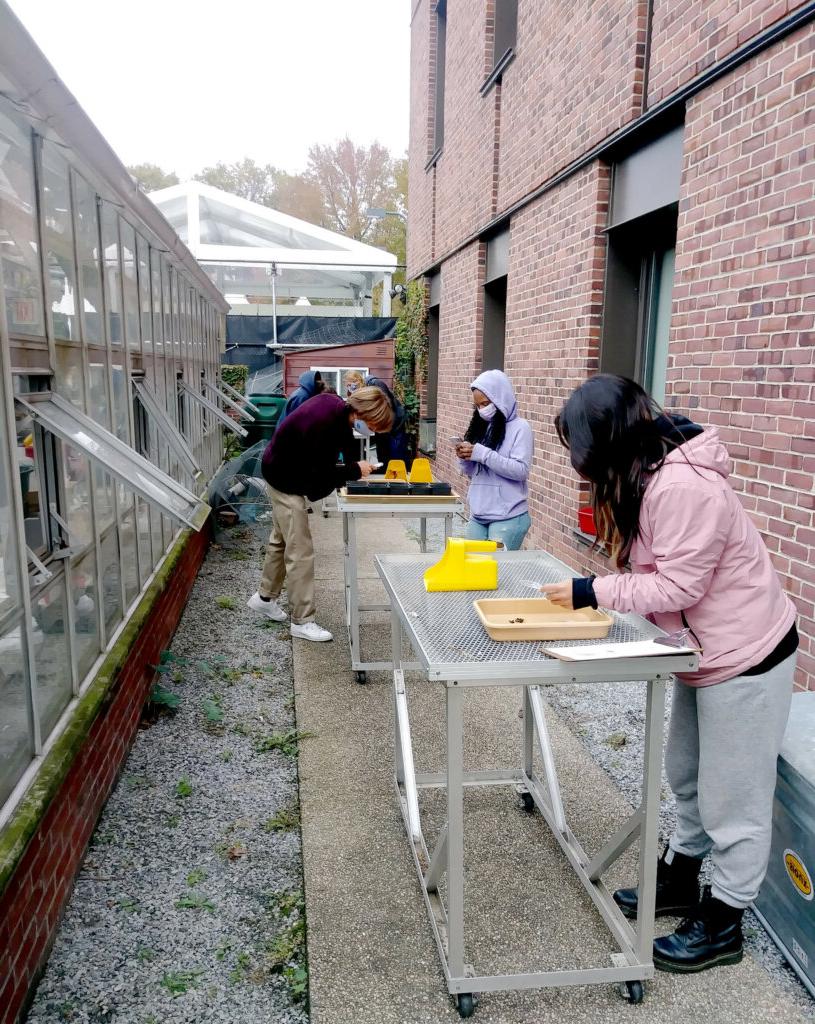 Upper School science Urban Food Systems outdoor lab